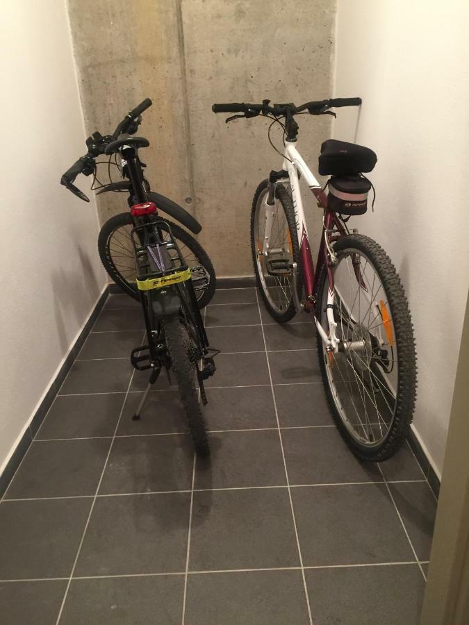 Apartman “U Nas V Podkrovi“ V Rezidenci Klostermann, Zelezna Ruda 24 외부 사진